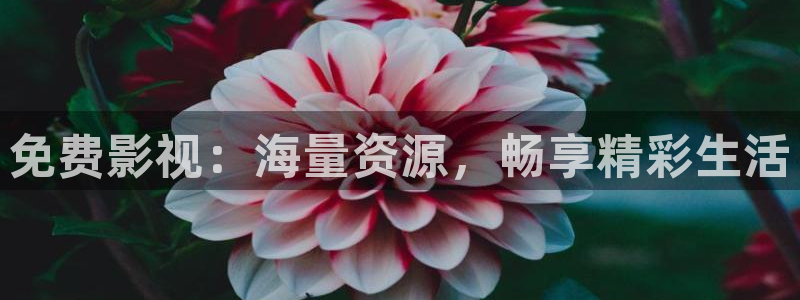 窝窝影院午夜片