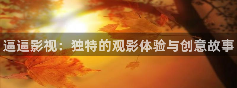 窝窝影院在线播