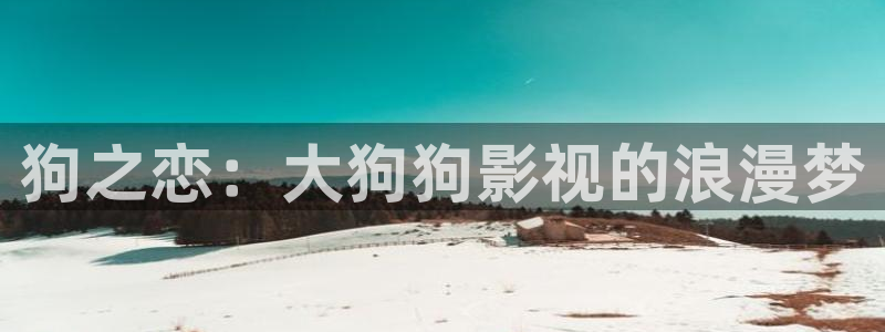 窝窝网电影电视大全